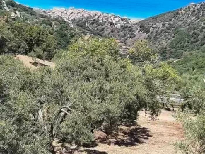 Appartamento monolocale in vendita in Contrada Basima, Gioiosa Marea