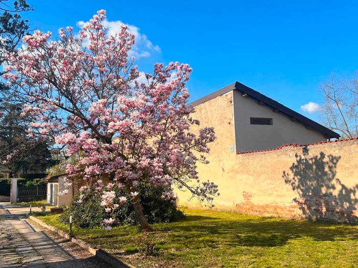 Casa con 5 locali in vendita in Cerro Tanaro