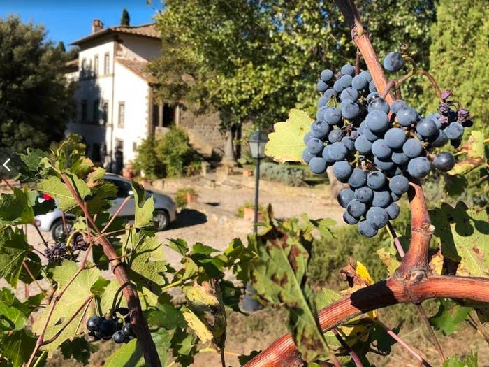 Casa con 6 locali in vendita in Cortona