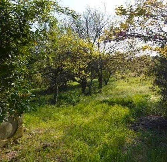 Casa con 5 locali in vendita in Via Roma, Arquà Petrarca