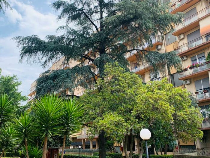 Appartamento trilocale in vendita in Via Giuseppe Di Vittorio, Centro, Aprilia