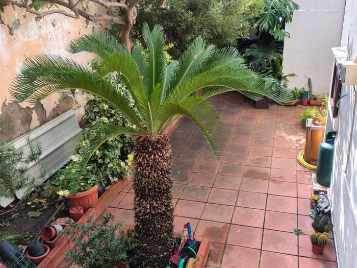 Appartamento trilocale in vendita in Via Arrigo Boito, San Benedetto, Cagliari