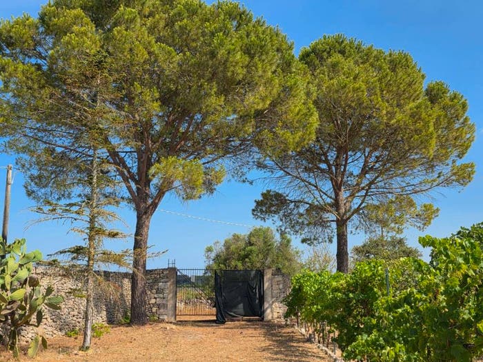 Casa con 6 locali in vendita in Strada Vicinale Francavilla, Maglie