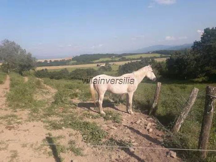 Casa con 5 locali in vendita in Via Maniera, Barberino di Mugello