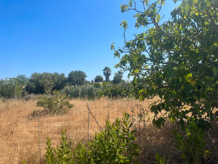 Casa con 6 locali in vendita in Strada Vicinale Mamuntanas, Maria Pia Fertilia, Alghero