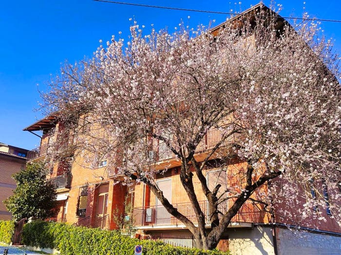 Appartamento quadrilocale in vendita in Via Po' della Fratta, Centro, Piegaro