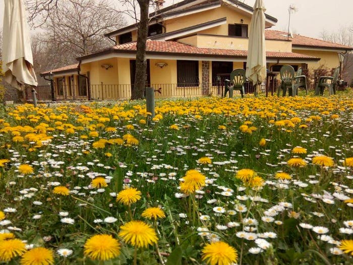 Casa con 6 locali in vendita in Sc Pratolongo località Cerchiara, Roccamonfina