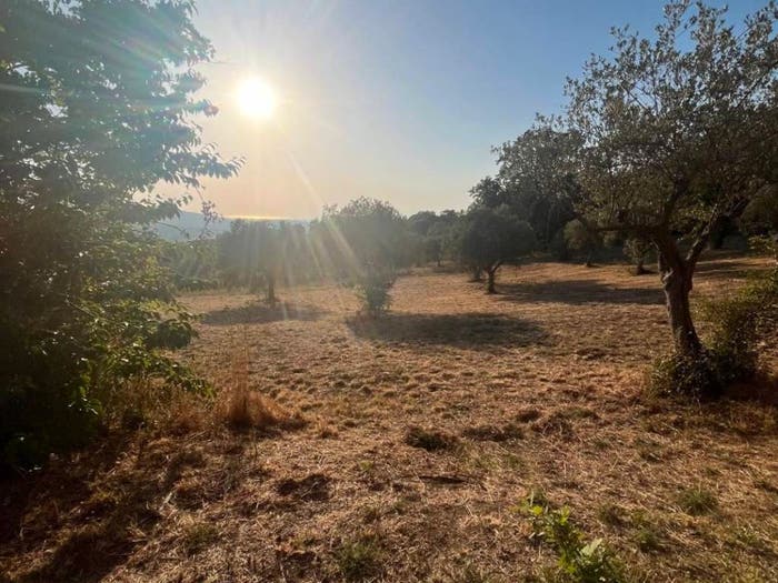 Casa con 6 locali in vendita in Via Bosco, Albanella