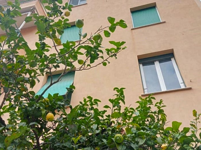 Appartamento bilocale in vendita in Via Rexello, Pegli, Genova