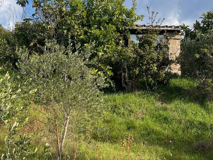 Casa bilocale in vendita in Arlena di Castro