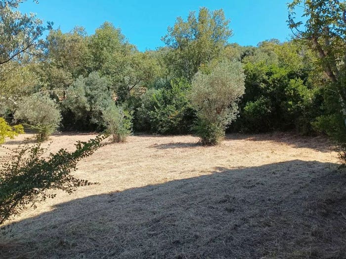 Casa con 6 locali in vendita in Località Bosco No Number, Bosco, Albanella