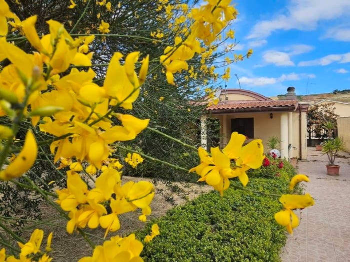 Casa quadrilocale in vendita in Contrada la Moschella Cerignola, Moschella, Cerignola