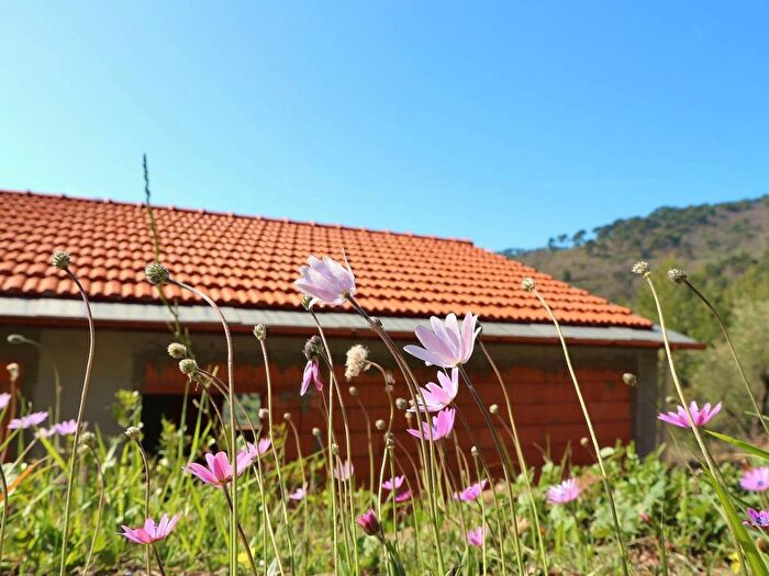 Casa trilocale in vendita in strada colletta, Diano Arentino