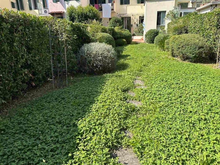 Casa con 6 locali in vendita in Via Claudio Monteverdi, Porta al Prato San Jacopino, Firenze