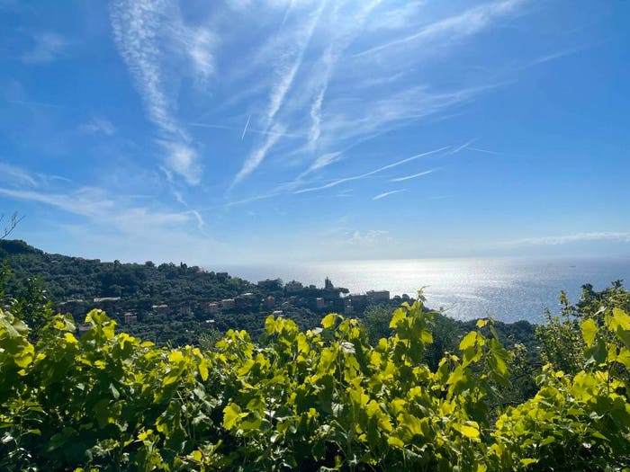 Appartamento bilocale in vendita in Via Franco Molfino, Ruta, Camogli