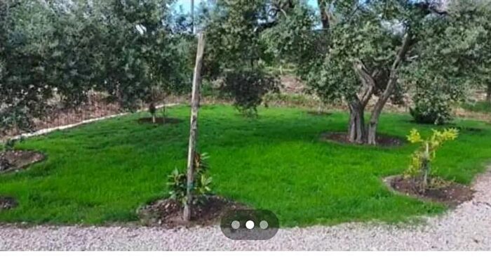 Casa quadrilocale in vendita in Via Lucera, Troia