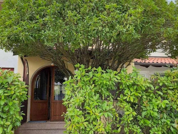 Casa con 6 locali in vendita in Via M Ciotti, Centro, Montereale Valcellina