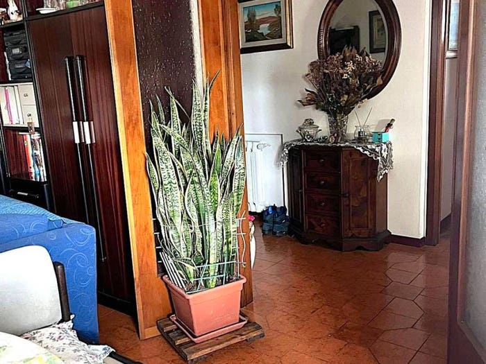 Appartamento con 6 locali in vendita in Pieve San Paolo Santa Margherita, Capannori