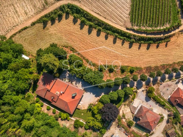 Casa con 6 locali in vendita in Frazione Sant'Antonio, Monticello d'Alba