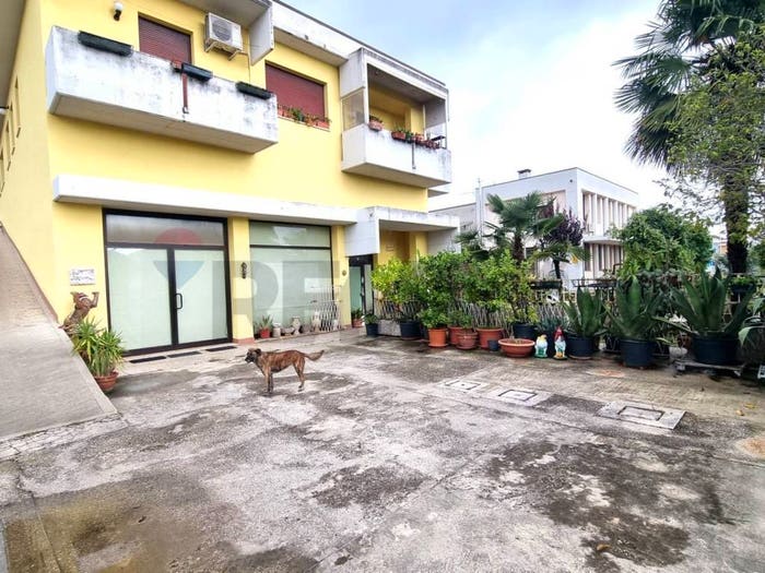Casa quadrilocale in vendita in Centro San Tommaso, Albignasego