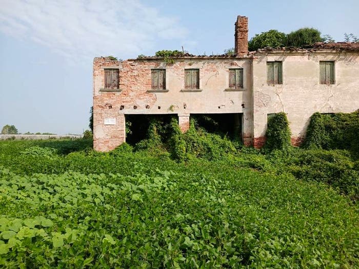 Casa in vendita in Via Giuseppe Verdi, Centro, Camponogara