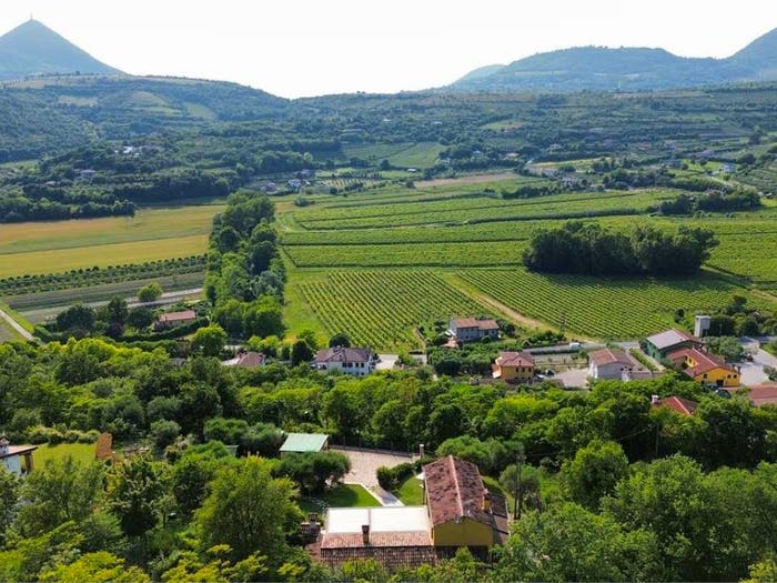 Casa con 5 locali in vendita in Arquà Petrarca