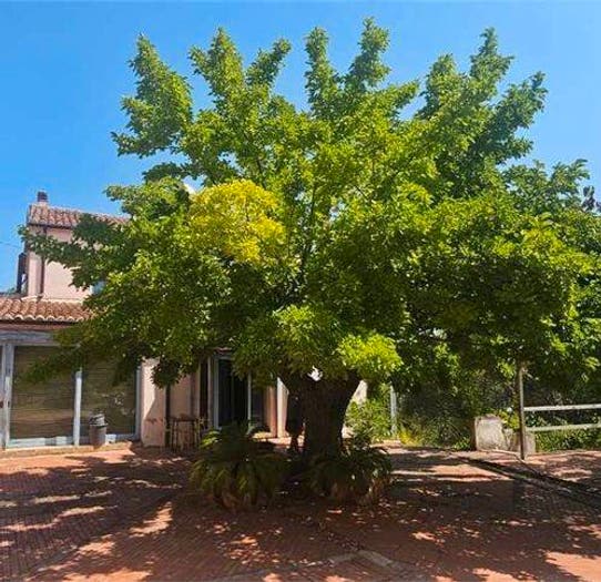 Casa con 6 locali in vendita in Mondaino