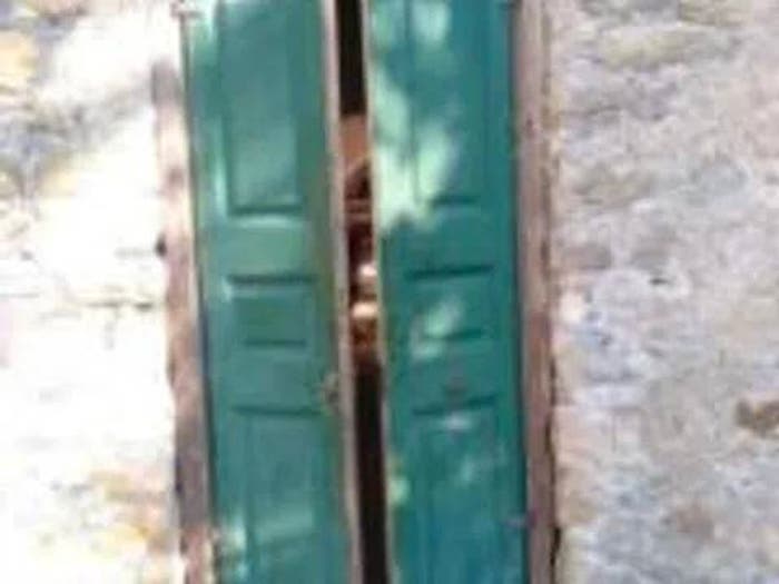 Appartamento trilocale in vendita in Località Trea No Number, Centro, Camogli