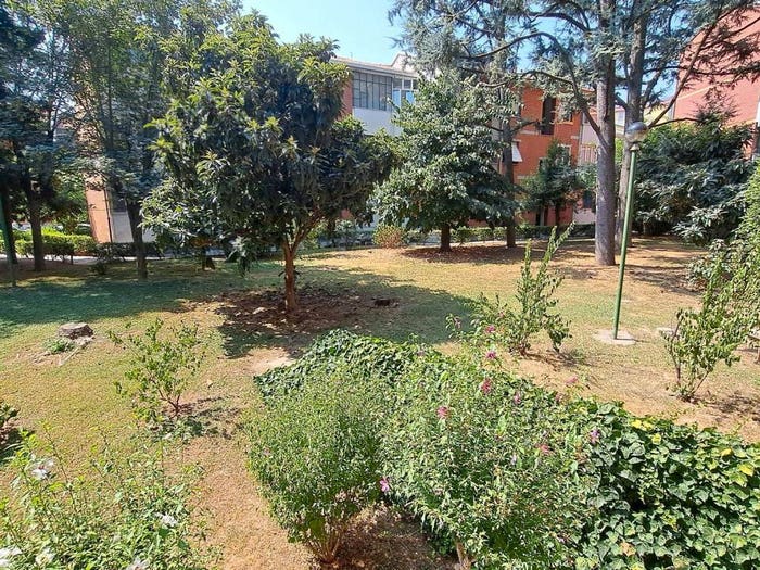 Appartamento quadrilocale in vendita in Roserio, Milano