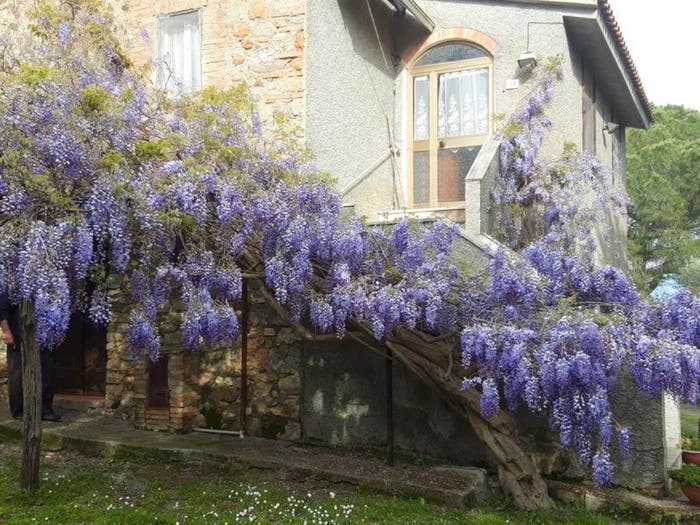 Casa quadrilocale in vendita in Campagnatico