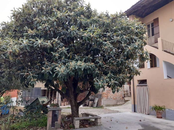 Casa con 6 locali in vendita in Centro, Castelnuovo Don Bosco
