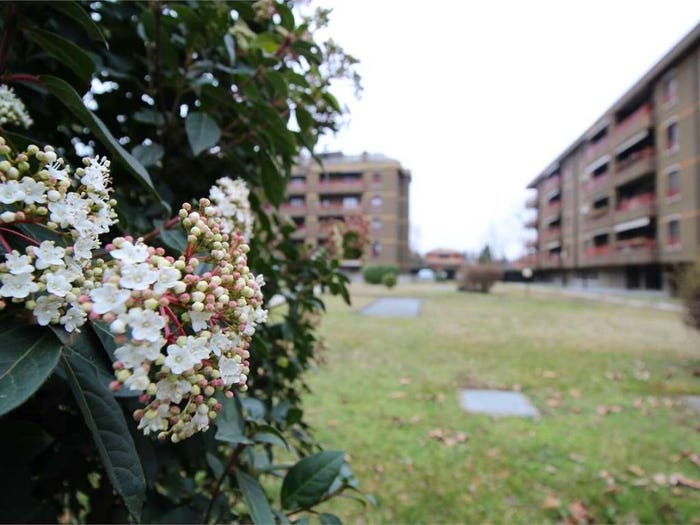Appartamento trilocale in vendita in via Don Milani, Centro, Cernusco sul Naviglio