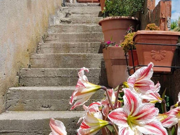 Appartamento con 5 locali in vendita in Via Massa Prato, Massa, Maratea