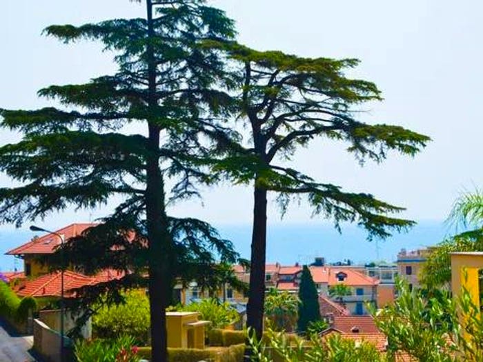 Appartamento quadrilocale in vendita in Via Cardellino, Collina Centrale Parco Fuor del Vento, Alassio