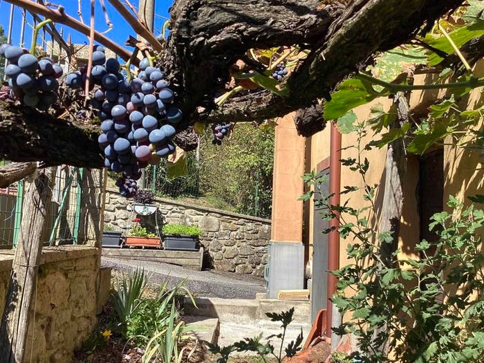 Casa con 5 locali in vendita in VIA GUIDO MONACO, Talla
