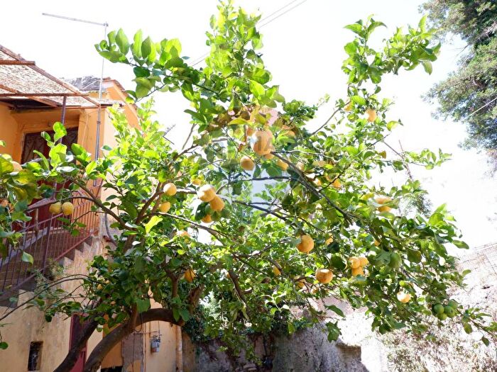 Casa bilocale in vendita in Via Montanara, Tuoro, Caserta