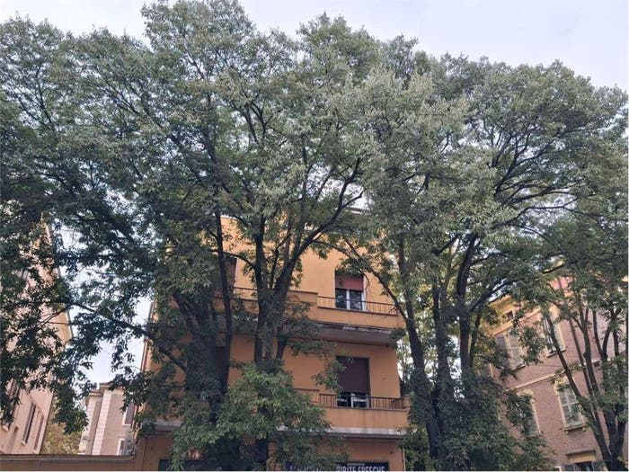 Appartamento quadrilocale in vendita in Viali, Modena