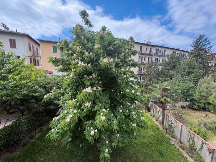 Appartamento con 6 locali in vendita in Via Mannelli, Mazzini Oberdan, Firenze