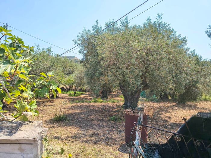 Casa con 5 locali in vendita in Via Provinciale CastaneaRodia, Ortoliuzzo San Saba, Messina