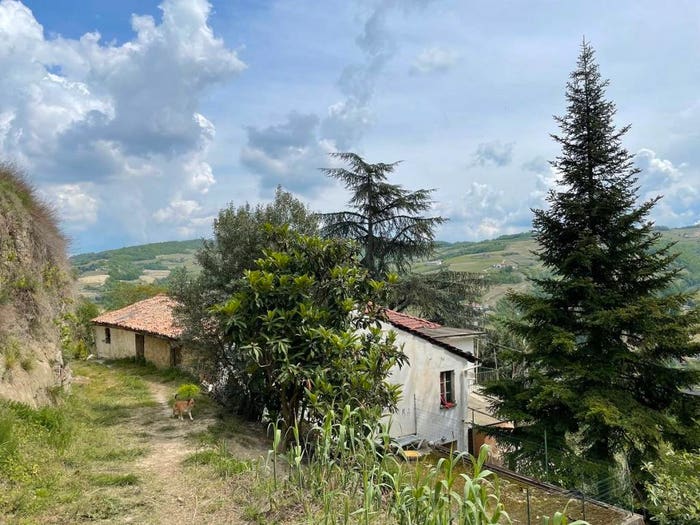 Casa con 6 locali in vendita in Località San Pietro Strada Casareggio, Cossano Belbo