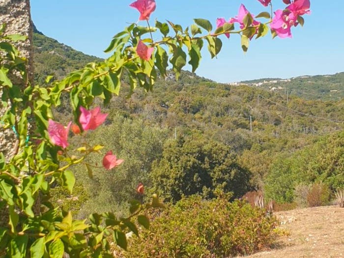Casa con 5 locali in vendita in Via Paluneddu, San Pantaleo, Olbia