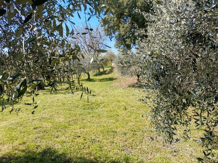 Casa con 6 locali in vendita in Quartaia Pian dell'Olmino Mensanello, Colle di Val d'Elsa