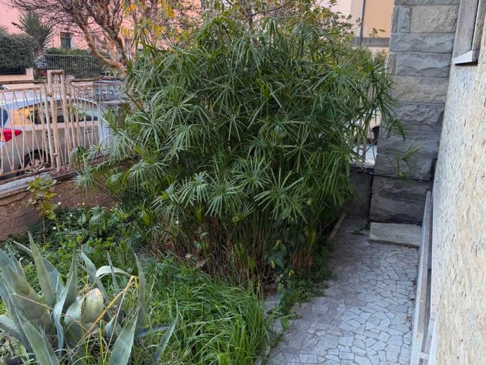 Casa con 6 locali in vendita in Via Alfredo Baccarini, Centro Storico, Ravenna