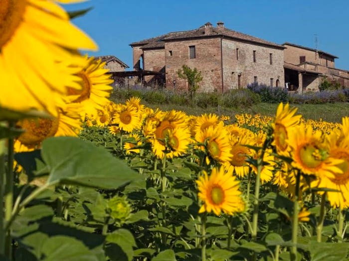 Casa con 6 locali in vendita in Via Roma, Centro, Monteroni d'Arbia