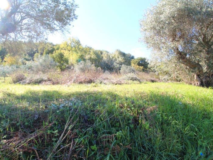 Casa monolocale in vendita in Via Manca Lauro, Montalto Uffugo