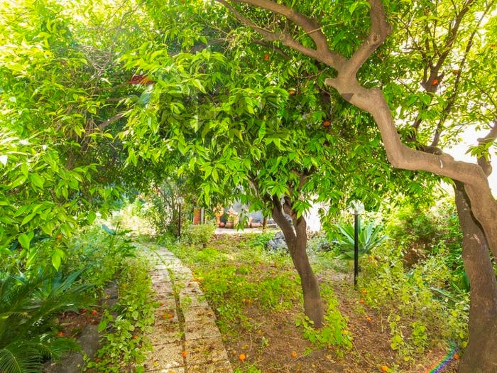 Appartamento con 6 locali in vendita in Via Antonino Di Sangiuliano, Centro Storico, Catania