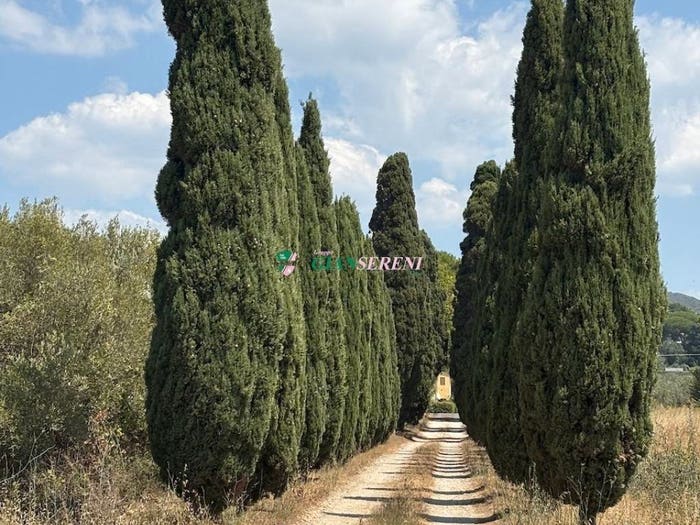 Appartamento trilocale in vendita in Campiglia Marittima