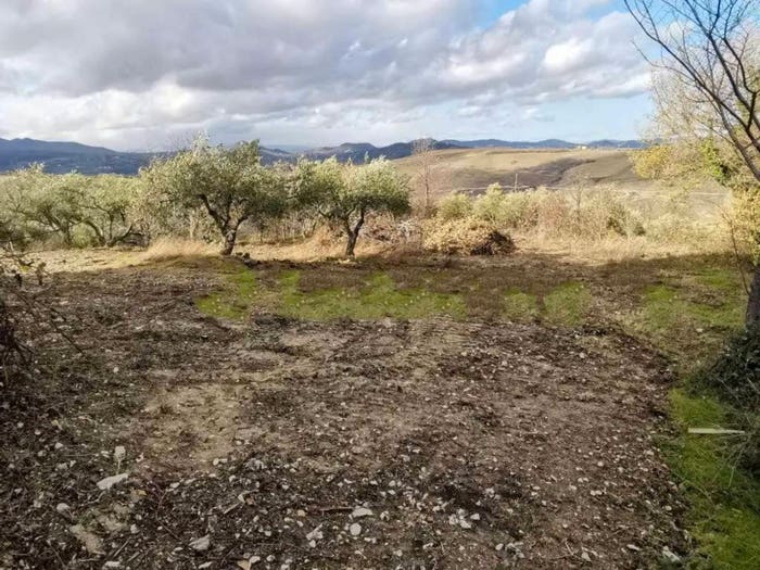 Casa quadrilocale in vendita in Contrada Bosco Pampini, Acquaviva Collecroce