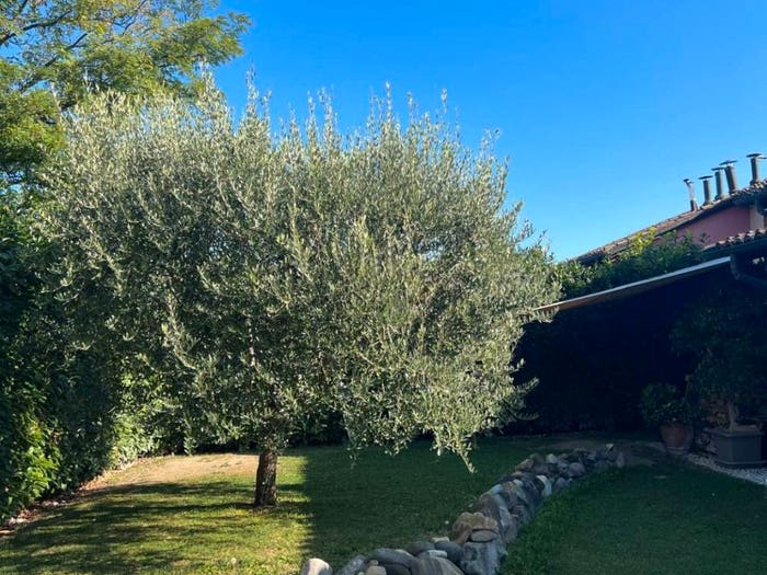 Casa quadrilocale in vendita in Via Augusto Franzoj, Vicofertile, Parma
