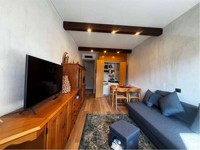 Appartamento monolocale in vendita in Frazione Valcasotto, Garessio